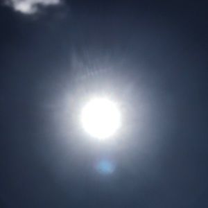 Meet your Posher, Heidi